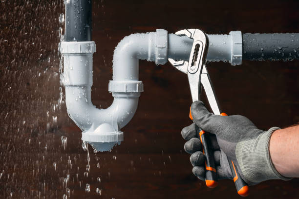 Professional Plumbing technician working in Saranac, MI